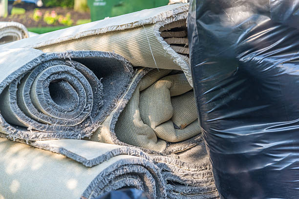 Yard Cleanup Services in Indianola, WA